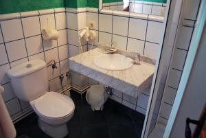 Vonios kambarys apgyvendinimo įstaigoje La Becada de Buelna