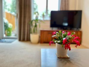 a potted plant sitting on a table in a living room at Double Room in Cosy Quiet Home - House Shared with One Professional in Bristol