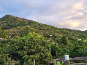 ラ・ガウレットにあるBackpackers rental room/bathroom onlyの山 +3枚の写真