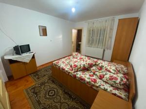 a bedroom with a bed and a television in it at Cabana Corina in Vartop