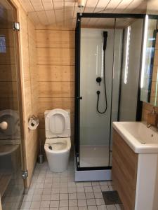 a bathroom with a shower and a toilet and a sink at Chalet Luokta in Inari
