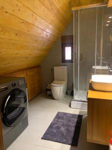 a bathroom with a toilet and a sink and a washing machine at Alpine House in Žabljak