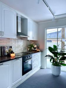 トリシルにあるNew apartment near the lifts tourist center Trysilの白いキャビネットと鉢植えの植物が備わるキッチン