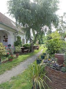 A garden outside Bozsoki Pihenő