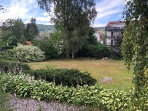 ogród z krzakami i budynek w tle w obiekcie Appartement Rue du lac w mieście Gérardmer