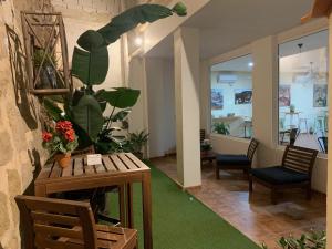Hostel SEA&DREAMS Calpe في كاليبي: غرفة بها نبات على طاولة وكراسي