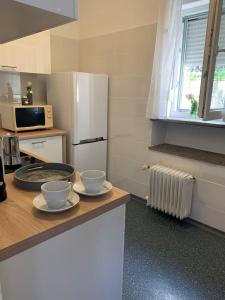 Η κουζίνα ή μικρή κουζίνα στο Apartma Enej