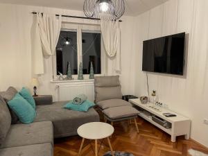 TV a/nebo společenská místnost v ubytování Apartments Gozdni Raj Rogla
