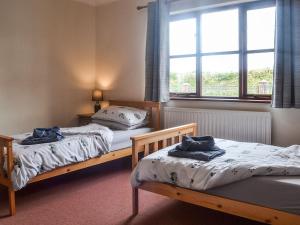 dwa łóżka w pokoju z oknem w obiekcie Awel Wen w mieście Tregaron