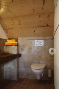 a bathroom with a toilet and a wooden ceiling at Die Mirnockhütte in Ferndorf