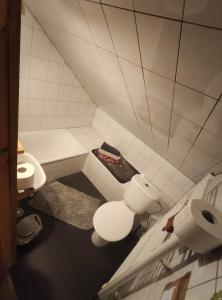 a bathroom with a toilet and a sink and a tub at Western Tatras Slovakia in Oravský Biely Potok