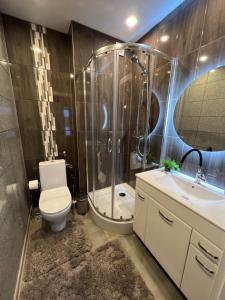 a bathroom with a shower and a toilet and a sink at Villa Arjola in Kaltanėnai +66 photos