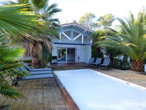 basen na podwórku domu z palmami w obiekcie *VILLA PALMA* 5 suites parentales, plage à 600 m, Vieux-Boucau w mieście Vieux-Boucau-les-Bains