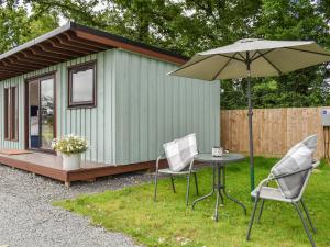 a green tiny house with a table and an umbrella at Honeypot Lodge in Ashwater