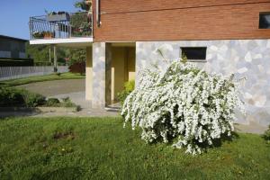 The building in which a panziókat is located