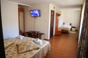 a bedroom with a bed and a tv on the wall at PENSIUNEA HARTAGU in Baile Siriu