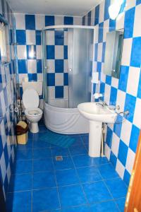 a blue and white bathroom with a toilet and a sink at PENSIUNEA HARTAGU in Baile Siriu