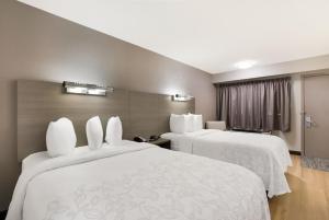 Postel nebo postele na pokoji v ubytování Red Roof Inn PLUS+ Chicago - Naperville