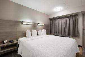 Postel nebo postele na pokoji v ubytování Red Roof Inn PLUS+ Chicago - Naperville