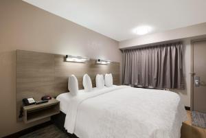 Postel nebo postele na pokoji v ubytování Red Roof Inn PLUS+ Chicago - Naperville