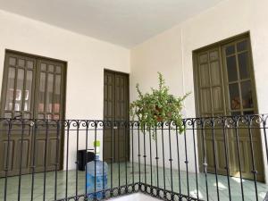 Μπαλκόνι ή βεράντα στο Hostal Santuario de las Libelulas