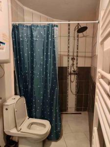 La salle de bains est pourvue de toilettes et d'un rideau de douche. dans l'établissement Bel appartement confortable Mons, à Mons