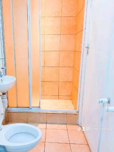 a bathroom with a shower with a toilet and a sink at Palm View Apartment in Pretoria