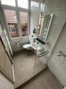uma casa de banho com um WC, um lavatório e um chuveiro em Hotel da Luca em Herzogenbuchsee