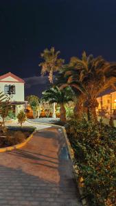 a walkway with palm trees and a building at night at Holiday house Fuerteventura in Costa Calma