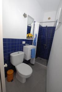 ein blau gefliestes Bad mit einem WC und einer Dusche in der Unterkunft Punta mujeres casitas del mar in Arrieta