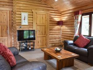 a living room with a couch and a tv in a log cabin at Felmoor Park - Mystic Falls in Felton