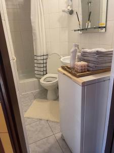 Koupelna v ubytování Całoroczny domek rustykalny