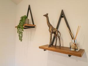 Gambar di galeri bagi Bluebell di Swadlincote