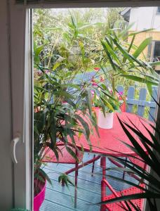 a window view of a table with plants on a balcony at Ibiza Casa in Kent