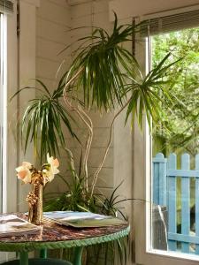 una mesa con una planta junto a una ventana en Ibiza Casa en Kent