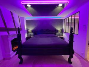 a purple bedroom with a bed and a fireplace at Le Jacuzzi in Rouen