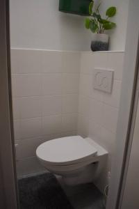La salle de bains blanche est pourvue de toilettes et d'une plante. dans l'établissement DS Apartment 5, à Vienne