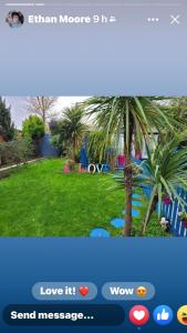 een sms over een palmboom in een tuin bij Ibiza Casa in Kent