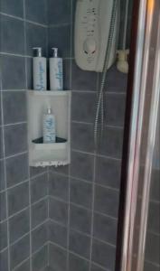 a bathroom with three bottles of soap and a phone at Annie Dee’s Guest Accommodation in Ballygowan