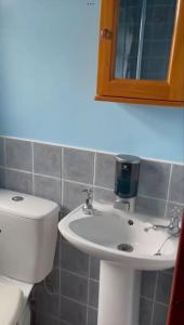 bagno con servizi igienici, lavandino e specchio di Annie Dee’s Guest Accommodation a Ballygowan