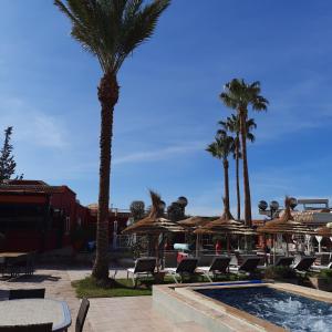 a pool with chairs and umbrellas and palm trees at Résidence Habiba in Marrakesh
