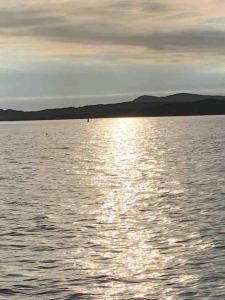 Náttúran í nágrenni sumarhússins