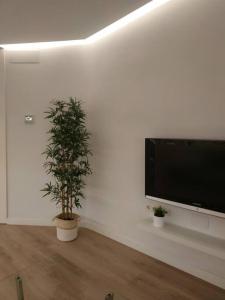 un salon avec une télévision et deux plantes en pot dans l'établissement Lujoso y acogedor apartamento "súper céntrico" en ELche, à Elche