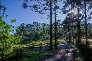 Imagen de la galería de Hospedaria Fazenda São João do Vale da Grama, en Visconde De Maua