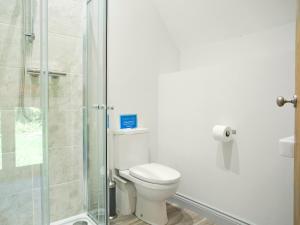 a bathroom with a toilet and a glass shower at East Dunster Deer Farm Linny in Cadeleigh