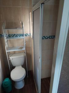 La petite salle de bains est pourvue d'une douche et de toilettes. dans l'établissement Cabañas Ases Loft Valdivia SIN ESTACIONAMIENTO, à Valdivia