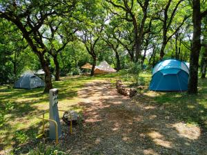 CAMPING LE BEL AIR mobil home LE CORNOUILLER 4 personnes外面的花园