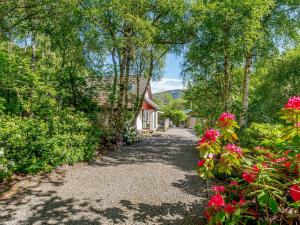 BearnockにあるGlen View Of Enrick Houseの花木の家へ続く私道