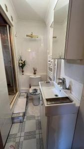 a small bathroom with a toilet and a sink at Palaz 6 - 2 bedroom flat in Edmonton
