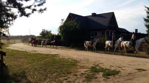 Fotografie z fotogalerie ubytování Domek holenderski w Stadnine Koni Mazury v destinaci Łukta